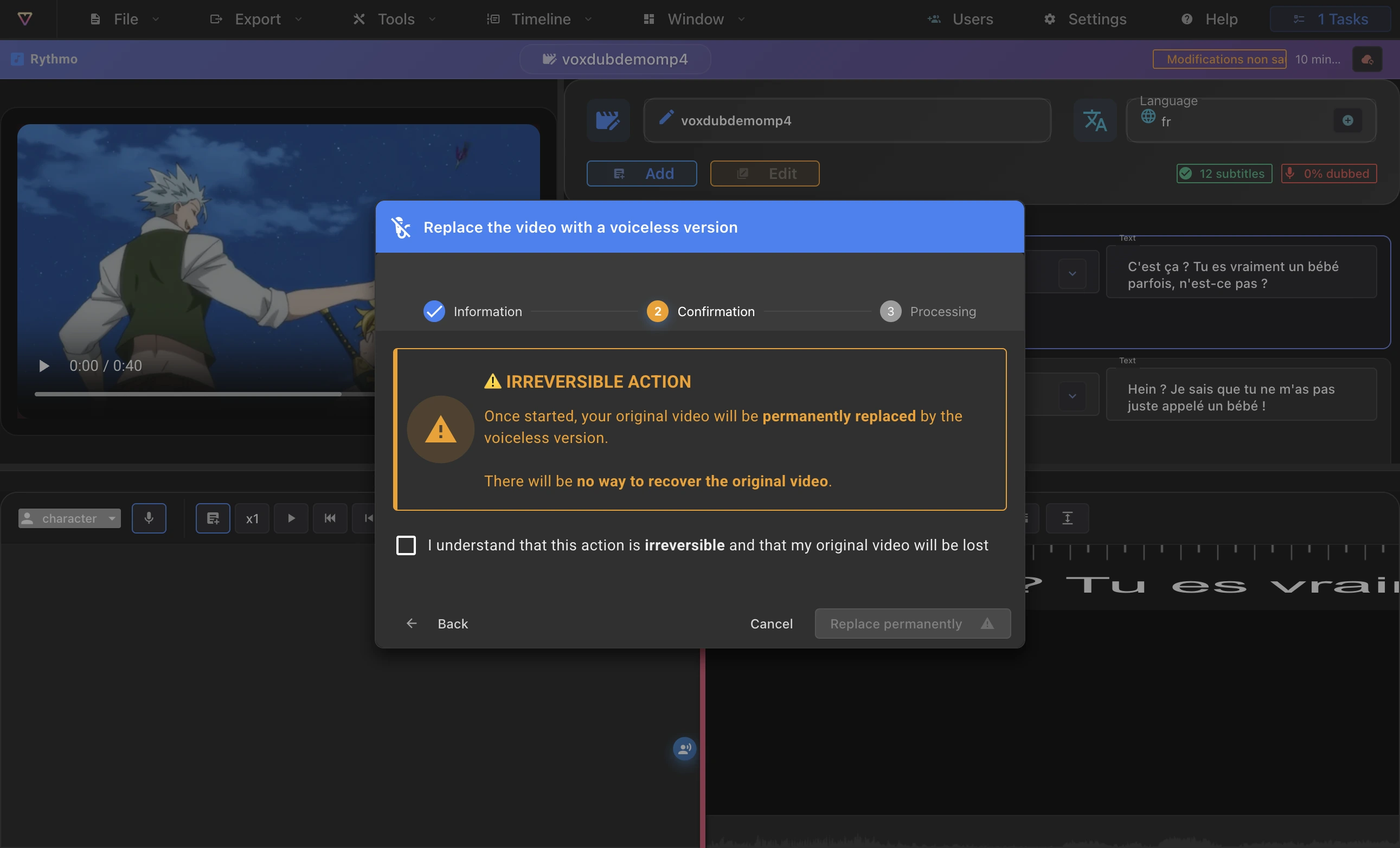 The Replace video (without vocals) dialog on the confirmation step